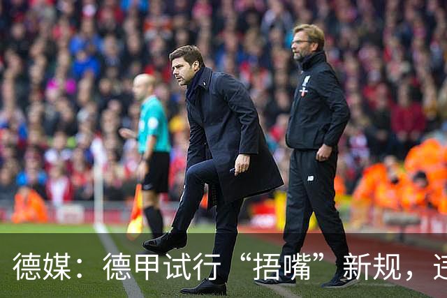 德媒：德甲试行“捂嘴”新规，违规只吃黄牌
